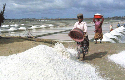 Rock Salt whole seller in tuticorin saravana salt