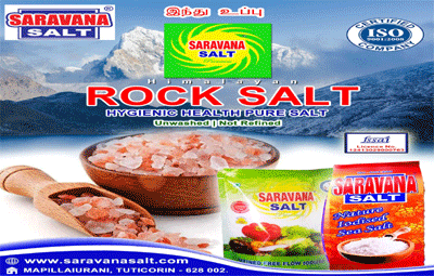nacl manufacturing process saravana salt